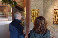 Male-in-mostra-a-Ferrara-262
