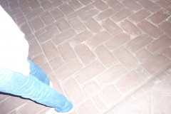 Male-in-mostra-a-Ferrara-27
