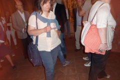 Male-in-mostra-a-Ferrara-56