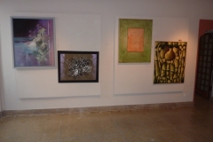mostra-sarezzo10