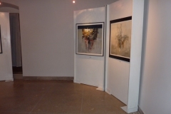 mostra-sarezzo19
