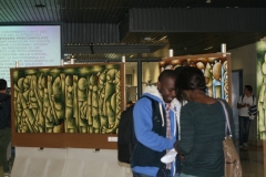 IMG_2604-1024x683