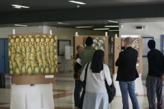 IMG_2620-1024x683