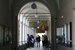 IMG_2688-1024x683