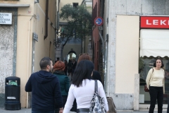 IMG_2699-1024x683
